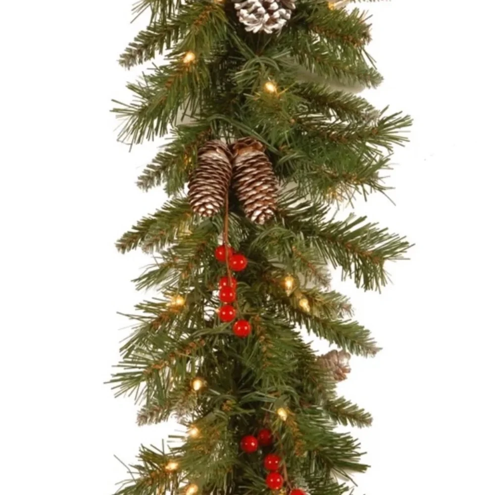 Lighted Garland (9-feet)
